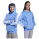Adidas Παιδικό φούτερ Essentials 3-Stripes Fleece Hoodie